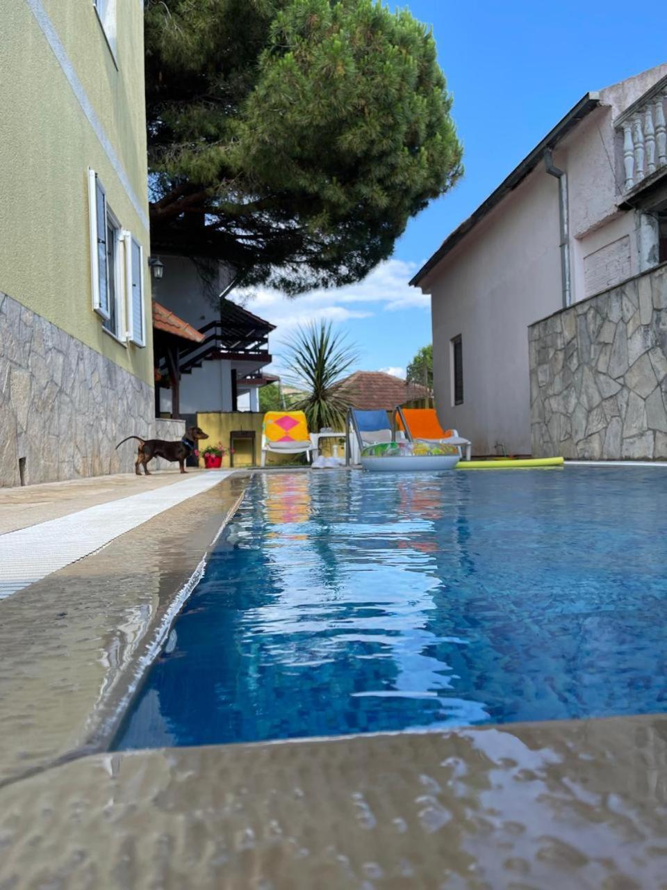 Apartments Villa-G Lustica Tivat Exteriér fotografie